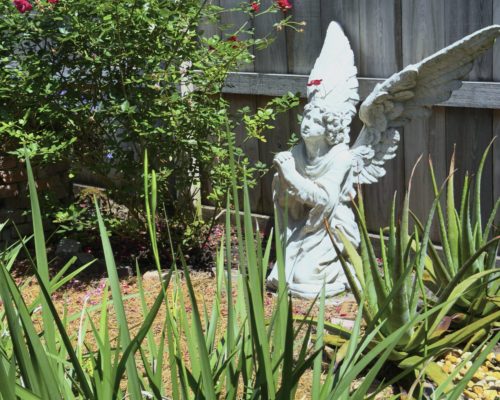 The gardens at Spanish Military Hospital Museum in St Augustine FL
