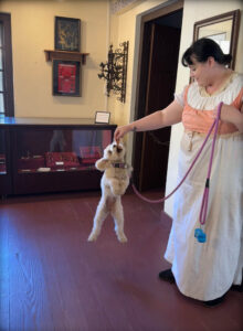 Katie Dog smh is pet friendly